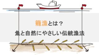 籠漁のイラスト（持続可能な漁法）